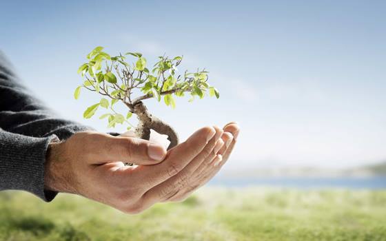 Construction HTML Template